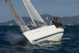 amber haze gbr4177 whw12 fri gjmc 8612